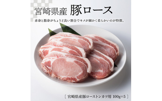 宮崎県産 豚肉３種詰め合わせ セット 1.4kg ミヤチク 九州産 豚 肉 豚肉 ロース ヒレ フィレ ヘレ しゃぶしゃぶ カツ用 おうちごはん おうち時間 送料無料 