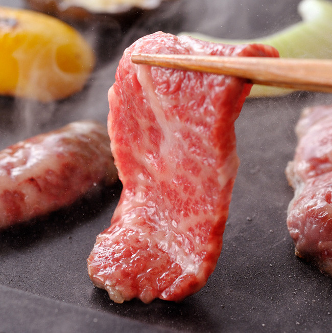 宮崎牛 焼肉 500g 【肉 牛肉 国産 宮崎県産 黒毛和牛 ミヤチク BBQ バーベキュー 送料無料 】