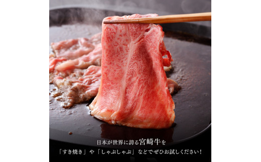 【新型コロナ被害支援】《生産者支援品》宮崎牛肩ローススライスとモモ焼肉用のセット700g (和牛こま切れ付き) 計900g 【 牛肉 黒毛和牛 サーロイン もも肉 国産 緊急支援品】