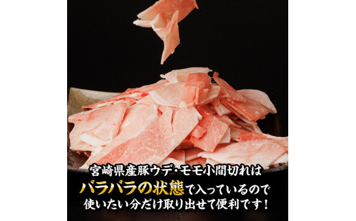 【訳あり定期便】宮崎県産豚肉 お楽しみセット6ヶ月定期便【 ロース とんかつ 豚バラ しゃぶしゃぶ 生姜焼き 小間切れ 豚 肉 豚肉 ミヤチク 全6回 】