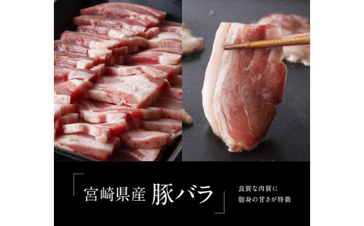 宮崎牛＆宮崎県産豚焼肉セット1.4kg 4大会連続日本一 宮崎牛 肉 牛肉 国産 黒毛和牛 肉質等級4等級以上 4等級 5等級 ミヤチク 豚肉 BBQ バーベキュー 