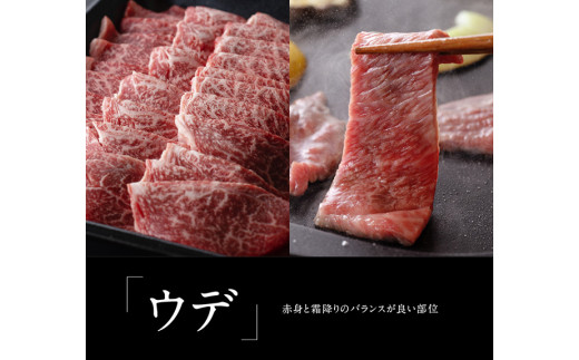 宮崎牛＆宮崎県産豚焼肉セット1.4kg 4大会連続日本一 宮崎牛 肉 牛肉 国産 黒毛和牛 肉質等級4等級以上 4等級 5等級 ミヤチク 豚肉 BBQ バーベキュー 