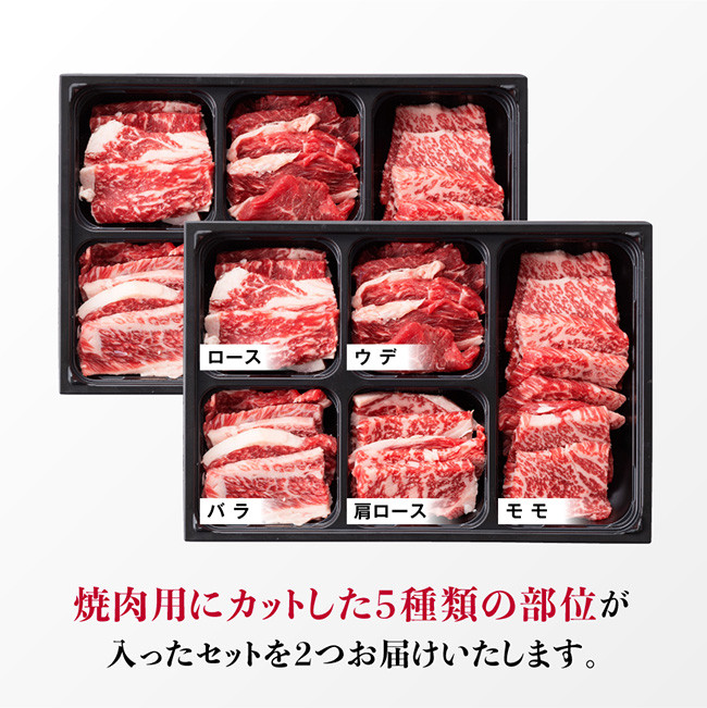 黒毛和牛5種盛り 焼肉セット（数量限定）600g 【 肉 牛肉 国産 宮崎県産 黒毛和牛 ミヤチク BBQ バーベキュー 送料無料 】