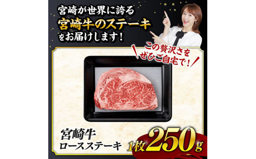 《数量限定》宮崎牛ロースステーキ1枚 (250g)【 肉 牛肉 宮崎県産 黒毛和牛ミヤチク】