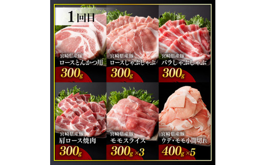 【訳あり定期便】宮崎県産豚肉 お楽しみセット6ヶ月定期便【 ロース とんかつ 豚バラ しゃぶしゃぶ 生姜焼き 小間切れ 豚 肉 豚肉 ミヤチク 全6回 】