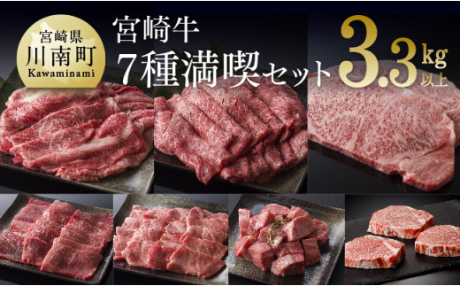 豪華！宮崎牛 満喫セット 3.3kg以上 4大会連続日本一 肉 牛肉 国産 黒毛和牛 肉質等級4等級以上 4等級 5等級 ミヤチク ステーキ スライス 焼肉 すき焼き 煮込み 