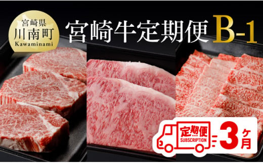 【定期便】宮崎牛３ヶ月定期便Ｂ‐１ 【 4大会連続日本一 国産 九州産 肉 牛 宮崎県産 牛肉 黒毛和牛 ミヤチク 全3回 】