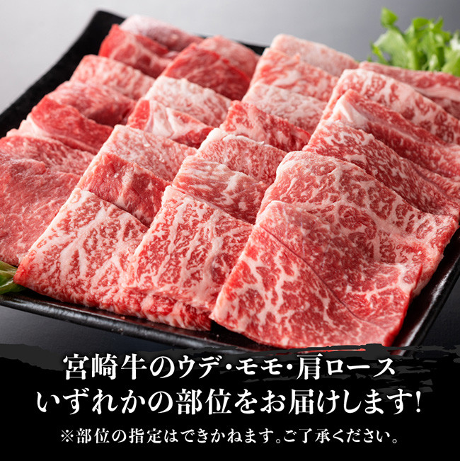 宮崎牛 焼肉 500g 【肉 牛肉 国産 宮崎県産 黒毛和牛 ミヤチク BBQ バーベキュー 送料無料 】
