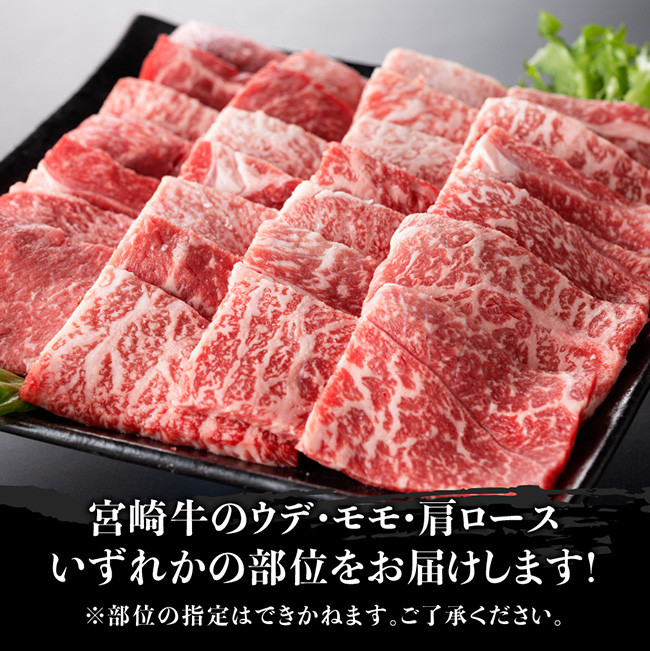 宮崎牛 焼肉用 500g 【肉 牛肉 国産 宮崎県産 黒毛和牛 ミヤチク BBQ バーベキュー 送料無料 】