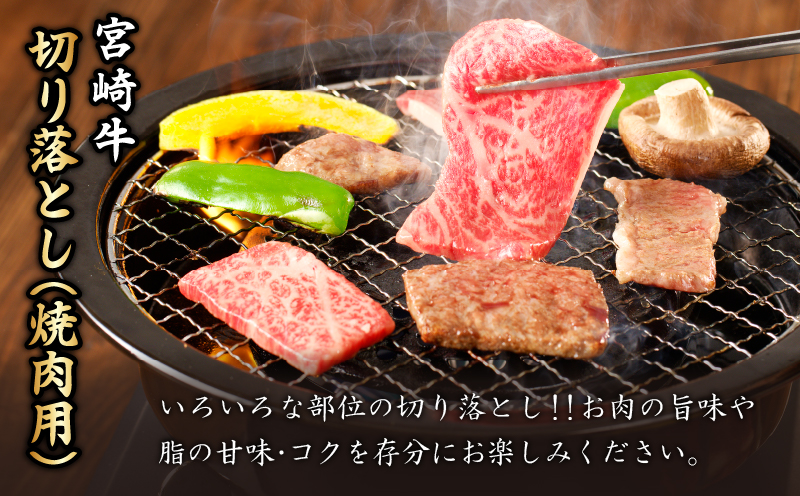 【2週間以内発送】生産者応援!!宮崎牛切り落とし(焼肉用)　500g×2パック（計1kg）_T030-077-MP