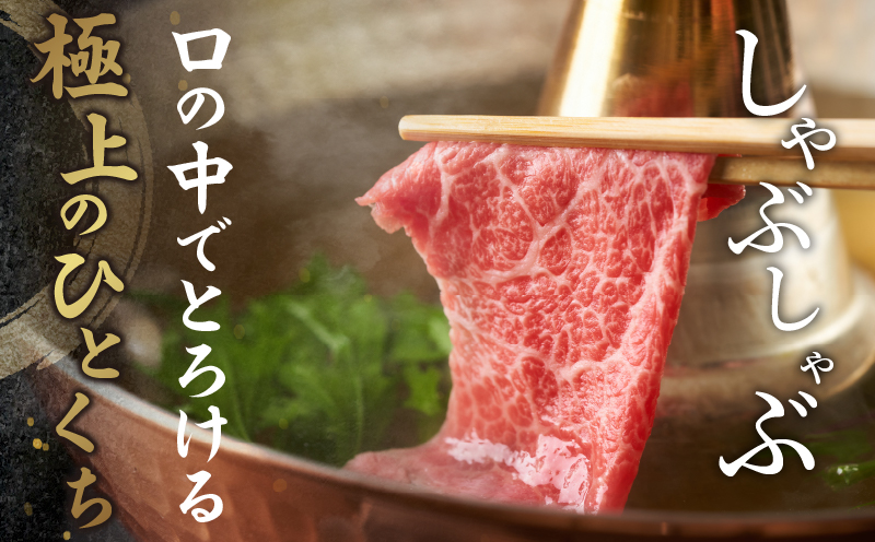 生産者応援≪肉質等級4等級以上≫黒毛和牛赤身スライス(計500g) 肉 牛 牛肉 おかず 国産_T030-088-MP