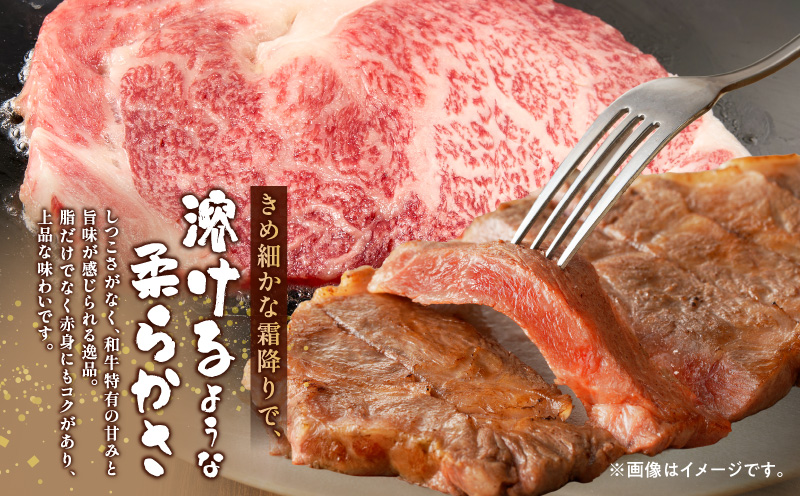 ≪宮崎県産≫黒毛和牛ロースステーキ(計1kg) 肉 牛 牛肉 焼肉 国産_T030-216