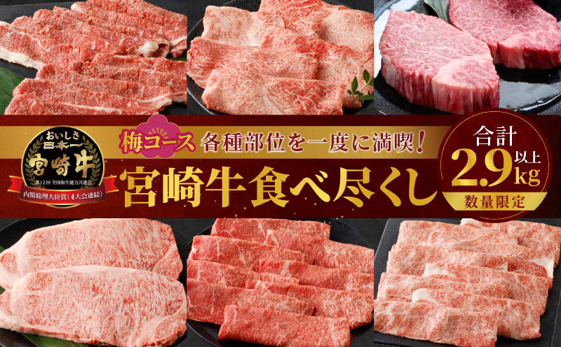 ＼4月20日(日)23時59分まで!!／≪数量限定≫宮崎牛食べ尽くし(梅コース)合計2.9kg以上_T030-133-MP