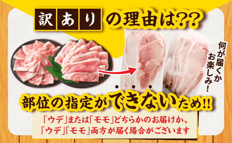 ≪訳あり≫宮崎県産豚スライス(ウデorモモ)&粗挽きウインナーセット合計2.34kg 肉 豚 豚肉 おかず 国産_T030-206