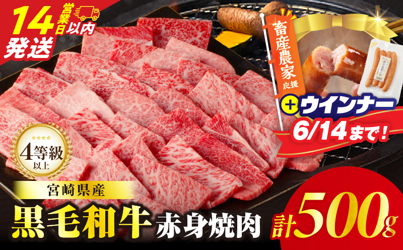 【14営業日以内発送】【畜産農家応援!!】≪肉質等級4等級以上≫黒毛和牛赤身焼肉(計500g)＆粗挽きウインナー 肉 牛 牛肉 国産_T030-0926-U-14E