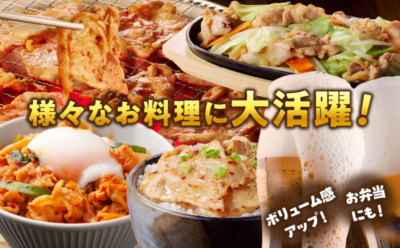 ≪訳あり≫国産豚味付け薄切り焼肉(計1.2kg)_T030-101-MP