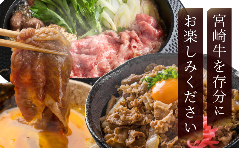 ＼4月20日(日)23時59分まで!!／≪数量限定≫宮崎牛食べ尽くし(梅コース)合計2.9kg以上_T030-133-MP