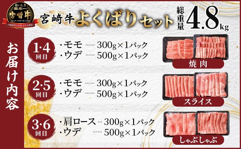 6か月お楽しみ定期便『宮崎牛よくばりセット』総重量4.8kg 肉 牛 牛肉 おかず 国産_T030-1843