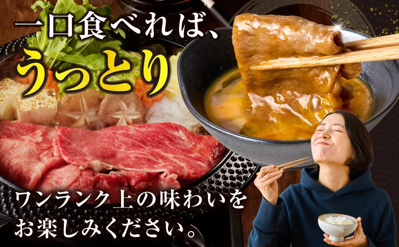 生産者応援≪肉質等級4等級以上≫黒毛和牛赤身スライス(計500g) 肉 牛 牛肉 おかず 国産_T030-0883