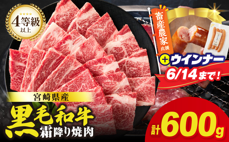 【畜産農家応援!!】≪肉質等級4等級以上≫宮崎県産黒毛和牛霜降り肩ロース(焼肉)計600g＆粗挽きウインナー 肉 牛 牛肉 おかず 国産_T030-1936-U