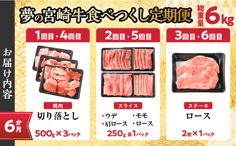 ≪6か月定期便≫夢の宮崎牛食べつくしセット(総重量6kg) 肉 牛 牛肉 おかず 国産_T030-143-MP