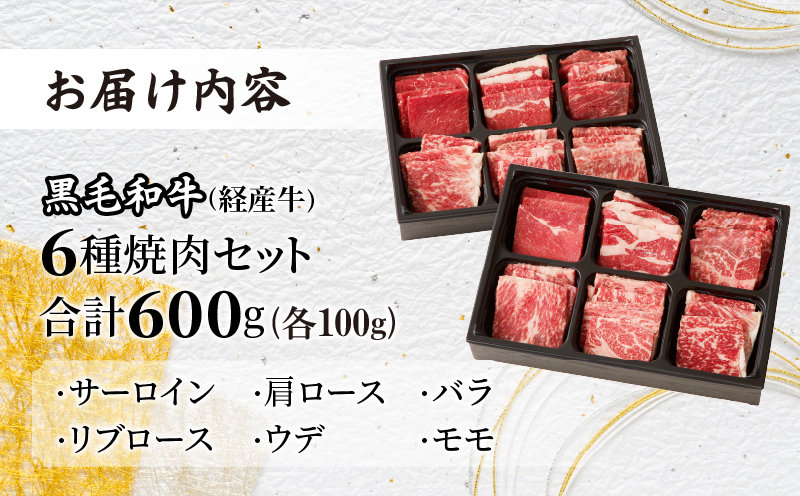 【2週間以内発送】生産者応援≪訳あり≫黒毛和牛(経産牛)6種焼肉セット(合計600g)_T030-023-MP