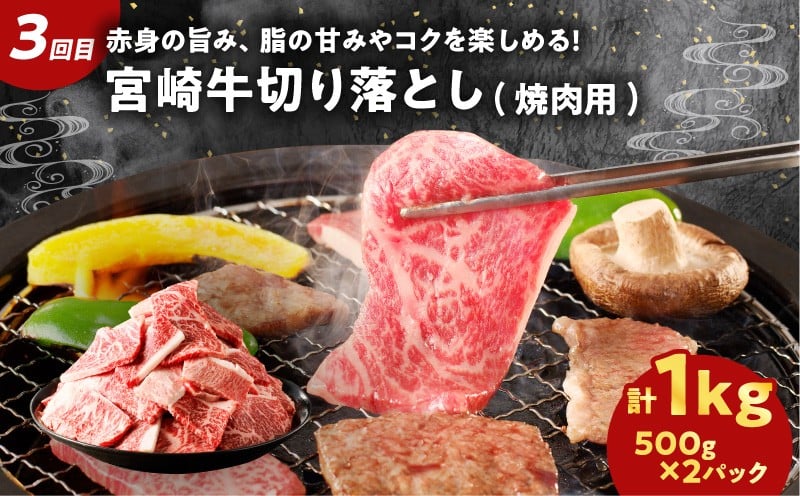 ≪3か月お楽しみ定期便≫宮崎県産牛＆豚の満腹セット(総重量3.5kg) 肉 牛 牛肉 豚肉 おかず 国産_T030-1853