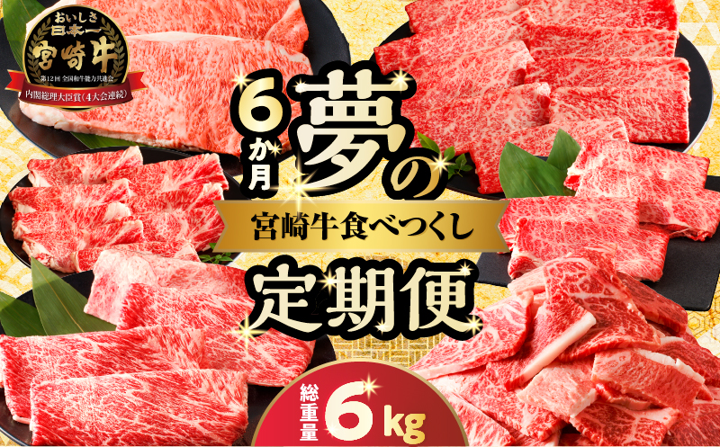 ≪6か月定期便≫夢の宮崎牛食べつくしセット(総重量6kg) 肉 牛 牛肉 おかず 国産_T030-068-MP