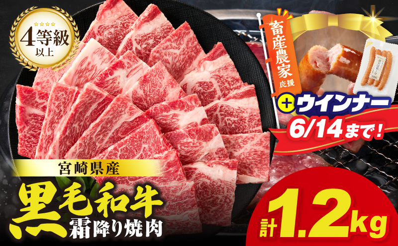 【畜産農家応援!!】≪肉質等級4等級以上≫宮崎県産黒毛和牛霜降り肩ロース(焼肉)計1.2kg＆粗挽きウインナー 肉 牛 牛肉 おかず 国産_T030-1946-U