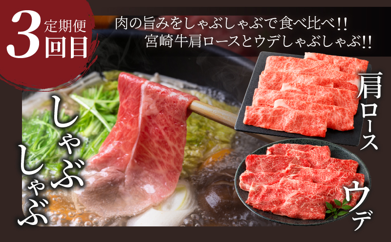 3か月お楽しみ定期便『宮崎牛よくばりセット』総重量2.4kg 肉 牛 牛肉 おかず 国産_T030-021-MP