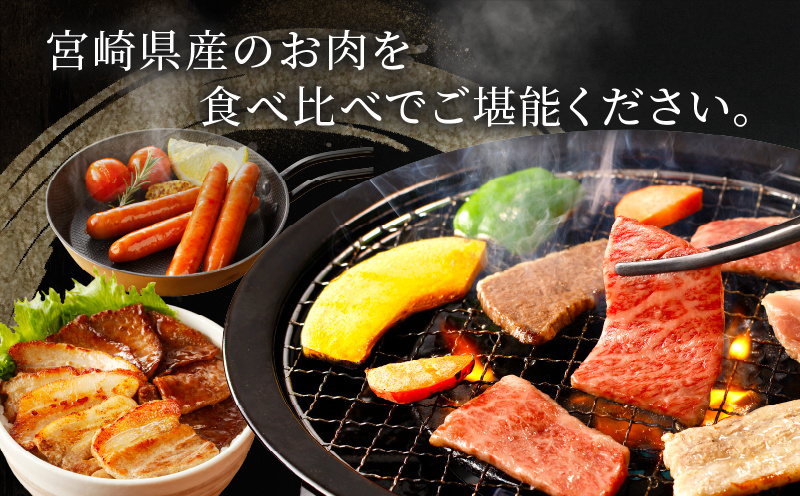 生産者応援≪宮崎県産≫黒毛和牛・豚焼肉＆粗挽きウインナーセット(合計980g)_T030-086-MP