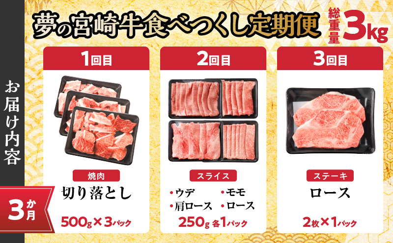 ≪3か月定期便≫夢の宮崎牛食べつくしセット(総重量3kg) 肉 牛 牛肉 おかず 国産_T030-067-MP