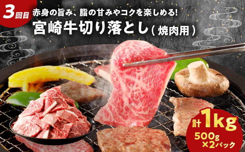 ≪3か月お楽しみ定期便≫宮崎県産牛＆豚の満腹セット(総重量3.5kg) 肉 牛 牛肉 豚肉 おかず 国産_T030-138-MP