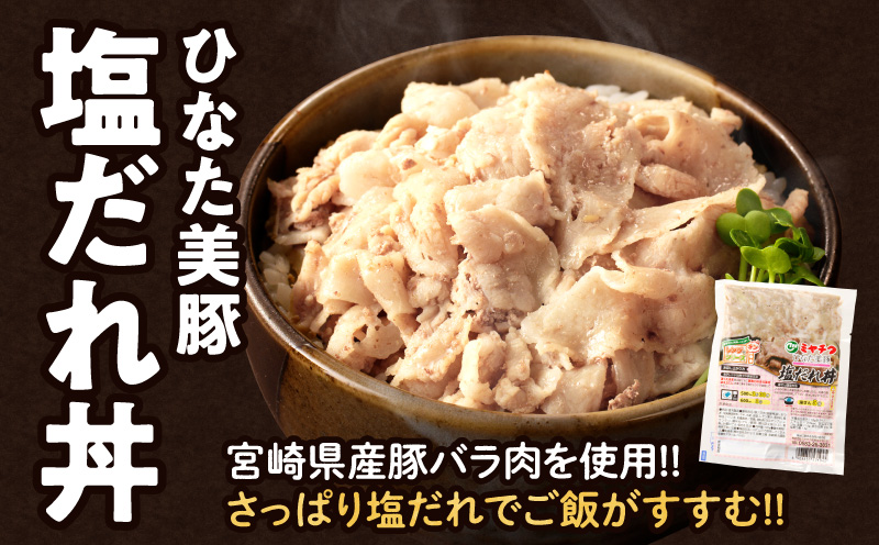 レンジでチンする牛・豚丼セット(合計1.3kg以上) _T030-125-MP