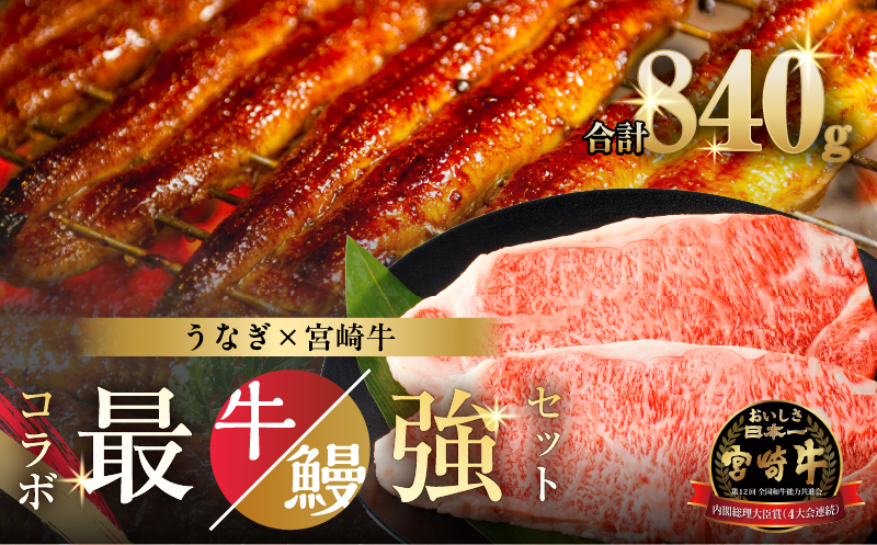 ≪数量限定≫うなぎ×宮崎牛 都農町最強セットA 肉 牛 牛肉 焼肉 国産_T030-129