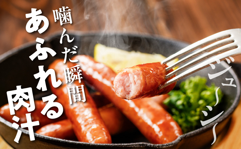 【7月末で受付終了!!】宮崎県産豚粗挽きウインナー計1.5kg_T030-126-MP