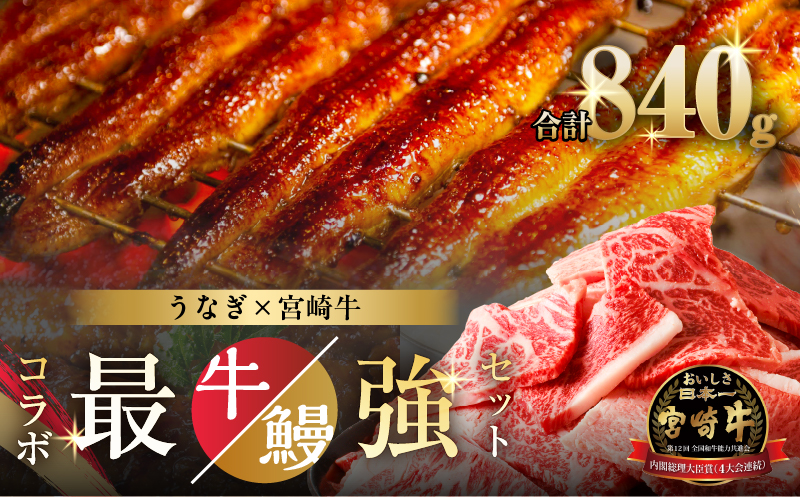 ≪数量限定≫うなぎ×宮崎牛 都農町最強セットC 肉 牛 牛肉 焼肉 国産_T030-131