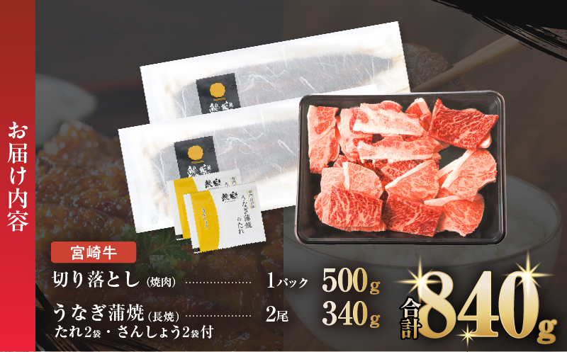 ≪数量限定≫うなぎ×宮崎牛 都農町最強セットC 肉 牛 牛肉 焼肉 国産_T030-073