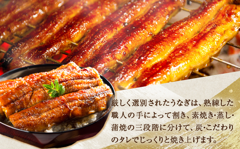 ≪数量限定≫うなぎ×宮崎牛 都農町最強セットA 肉 牛 牛肉 焼肉 国産_T030-1293