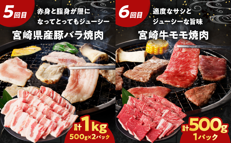 ≪6か月お楽しみ定期便≫宮崎の牛豚贅沢堪能セット(総重量4kg) 肉 牛肉 豚肉 おかず 国産_T030-064-MP