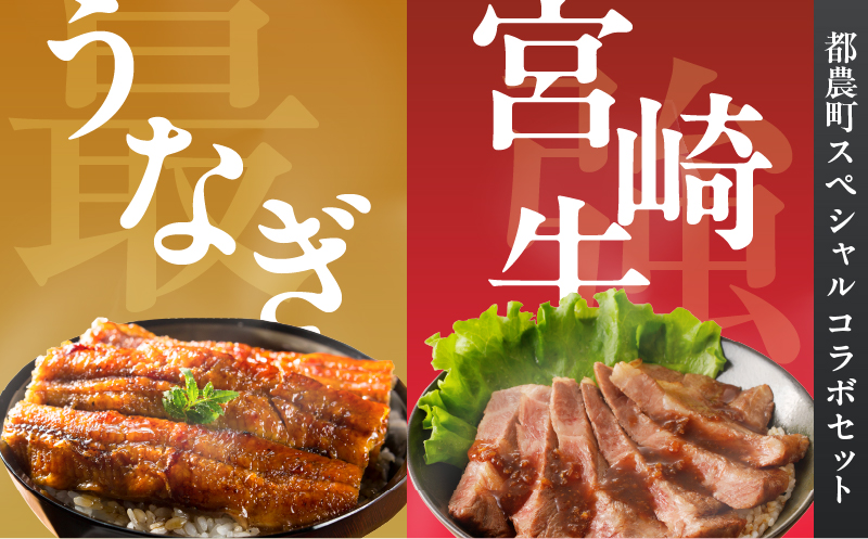 ≪数量限定≫うなぎ×宮崎牛 都農町最強セットA 肉 牛 牛肉 焼肉 国産_T030-129