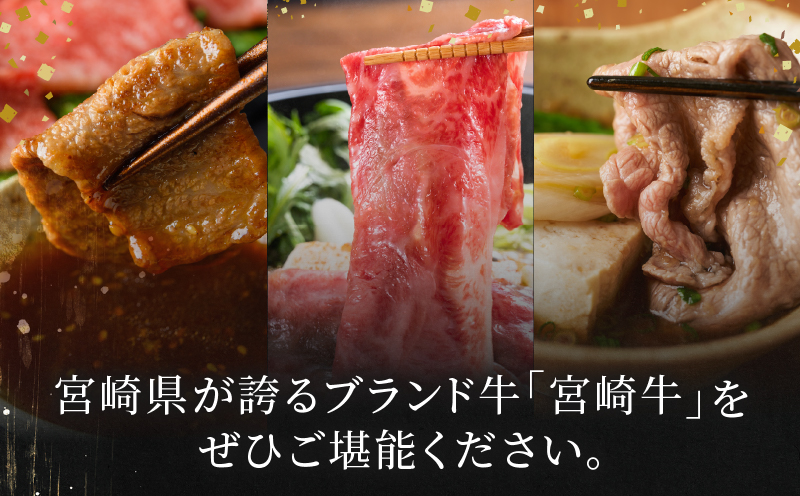3か月お楽しみ定期便『宮崎牛よくばりセット』総重量2.4kg 肉 牛 牛肉 おかず 国産_T030-136-MP