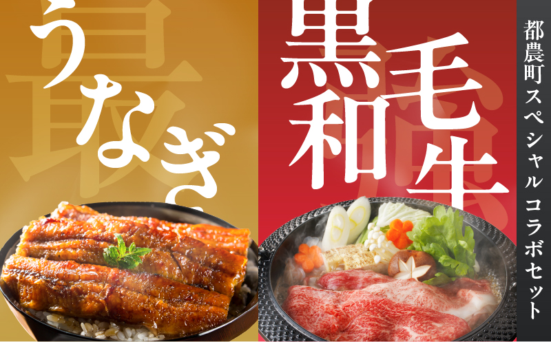 ≪数量限定≫うなぎ×黒毛和牛 都農町最強セットB 肉 牛 牛肉 おかず 国産_T030-1301