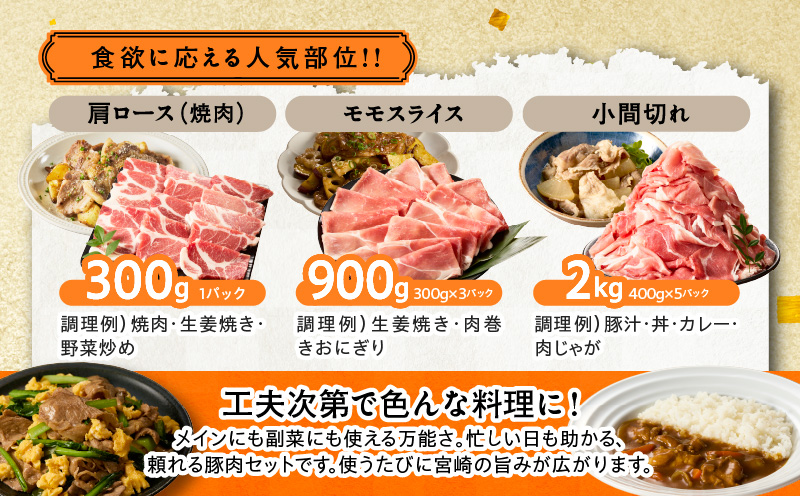 【14営業日以内発送】宮崎県産豚肉6種盛り合わせセット(合計4.1kg) 肉 豚 豚肉 おかず 国産_T030-2045-14E