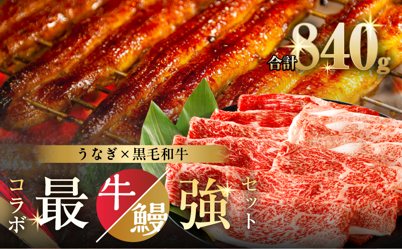 ≪数量限定≫うなぎ×黒毛和牛 都農町最強セットB 肉 牛 牛肉 おかず 国産_T030-1301