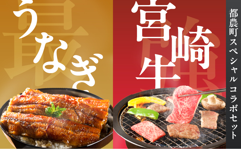 ≪数量限定≫うなぎ×宮崎牛 都農町最強セットC 肉 牛 牛肉 焼肉 国産_T030-131