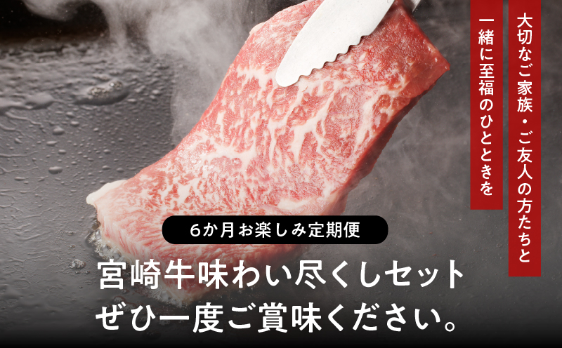 ≪6か月お楽しみ定期便≫宮崎牛味わい尽くしセット(総重量3.4kg) 肉 牛 牛肉 おかず 国産_T030-065-MP