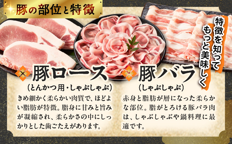 宮崎県産豚肉6種盛り合わせセット(合計1.9kg) 肉 豚 豚肉 おかず 国産_T030-227