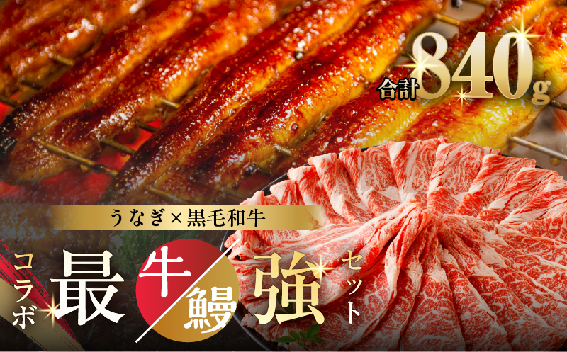 ≪数量限定≫うなぎ×黒毛和牛(経産牛) 都農町最強セットD 肉 牛 牛肉 おかず 国産_T030-1321