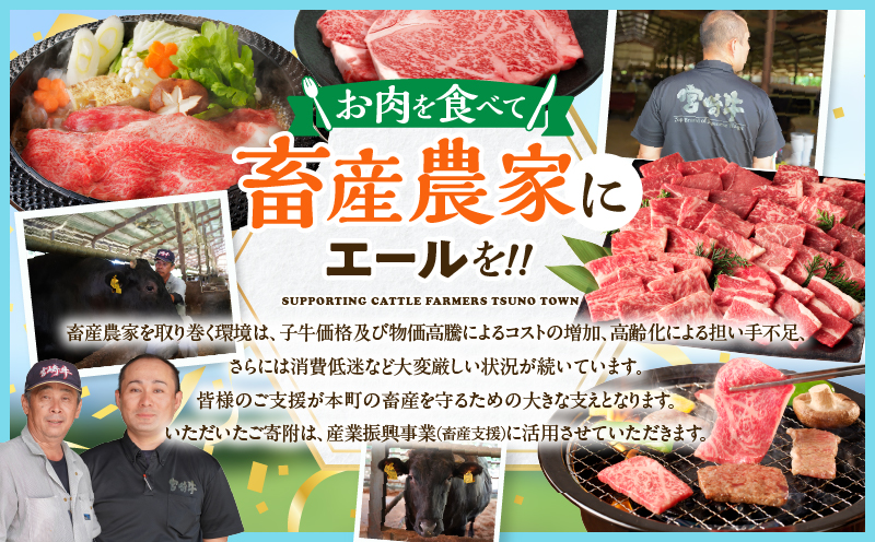 【畜産農家応援】生産者応援≪肉質等級4等級以上≫宮崎牛ロースステーキ(計1kg) 肉 牛 牛肉 焼肉 国産_T030-1088